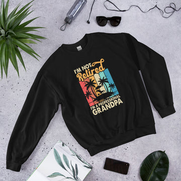 Im Not Retired Im a Professional Grandpa Sweatshirt, Retirement Party Hoodie, Retired Pullover, Retiree Apparel, Retirement Gift, Retiring